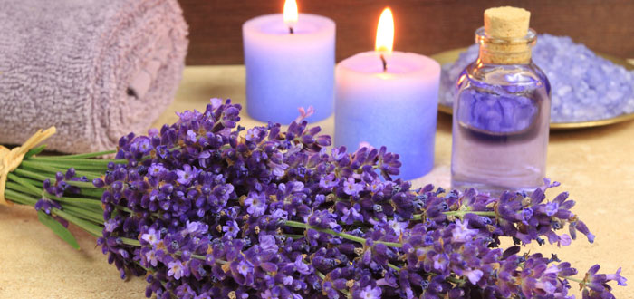 Lavender