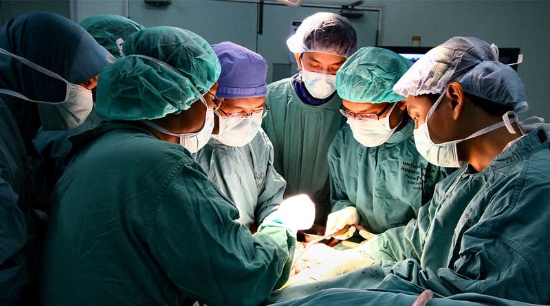 Brain-dead Kolkata woman donates liver and kidney, saves three live | Sangbad Pratidin
