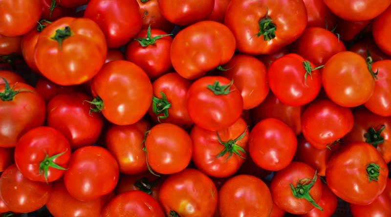 Want to shed flab, eat tomato