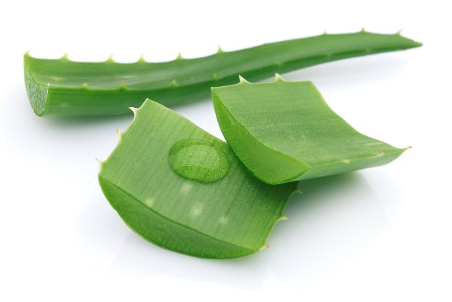 Aloe-vera-beauty-benefits