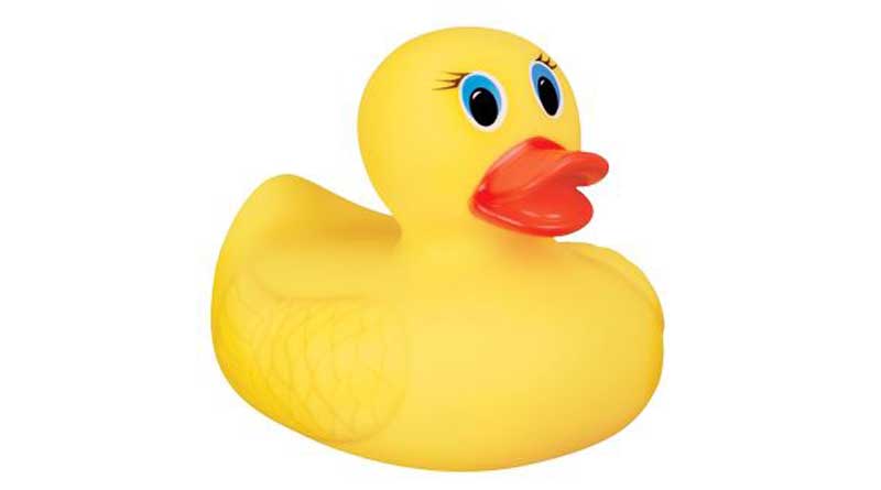 Man jailed for stealing plastic duck