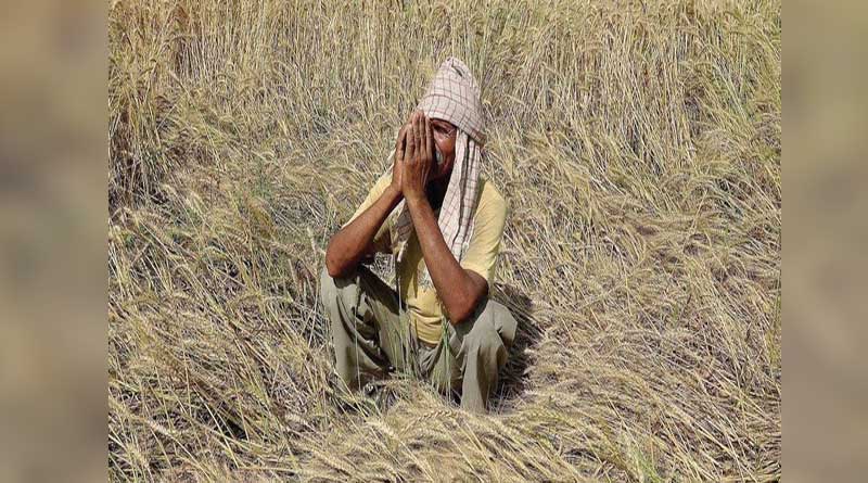 Having lost Crops worth Rs 1 Lakh, Madhya Pradesh farmer receives Re 1 in insurance claims‌‌ | Sangbad Pratidin