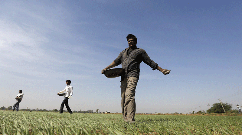 Maharashtra: Farmers from other states apply for loan waiver