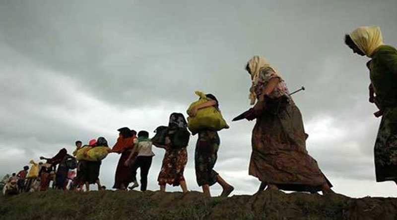 Rohingyas obtaining Aadhaar, PAN cards: Report 