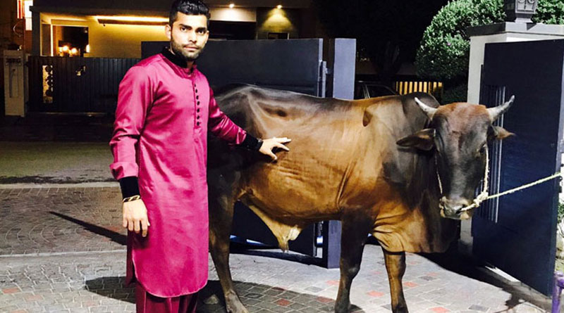 Umar Akmal’s pic with bulls irk Twitteratti