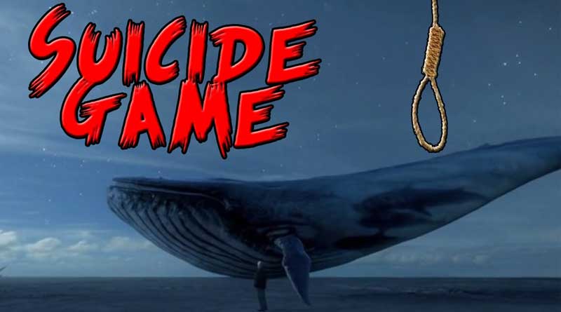 CID all set to net Killer 'Blue Whale'