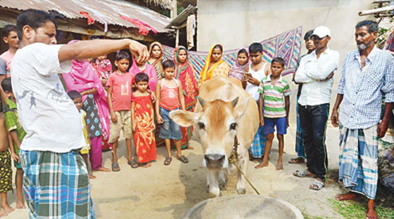 আড়াই হাজারের বাছুর এখন ৭৫ লাখ, আবদুলের বাড়িতে মেলা লোক