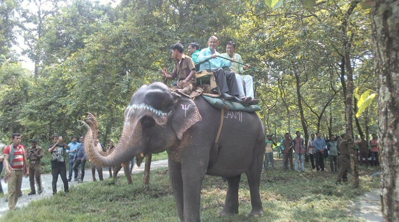 পুজোয় পর্যটক টানতে শিলিগুড়িতে চালু হল হাতি সাফারি