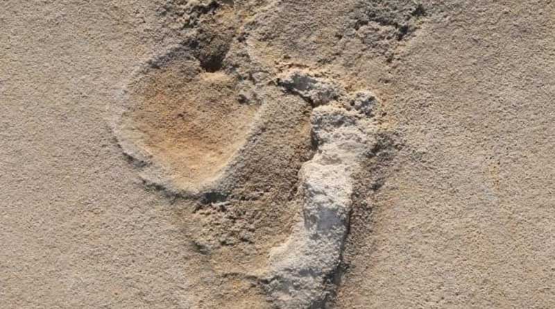 Fossil footprints challenge established theories of human evolution