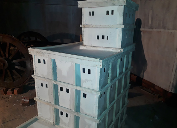 pallysree1