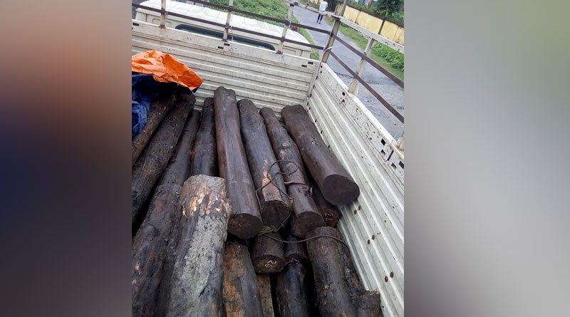 forest department officials seize illegal woods in Siliguri, 4 arrested