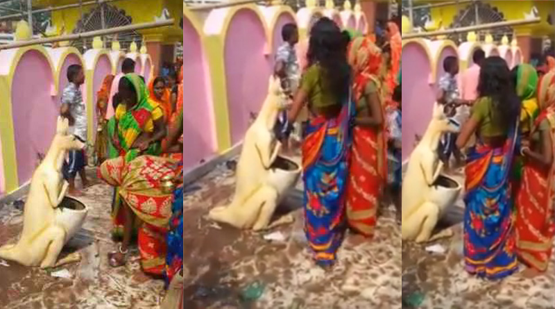 দেবতার বাহন ভেবে ‘ক্যাঙারু ডাস্টবিন’কে ভক্তিভরে পুজো মহিলার