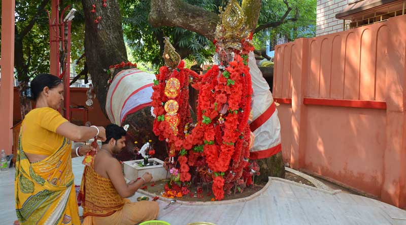 নিমগাছই এখানে দেবী, কাটোয়ার অহঙ্কার ‘ঝুপোকালী’
