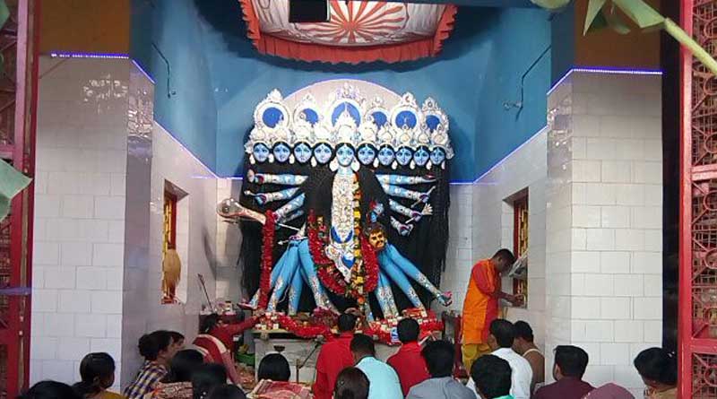 MLD-10-HEAD-KALI.jpg-1