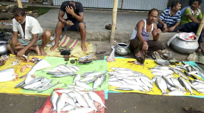 Hilsa fish floods Malda market, prices slumped
