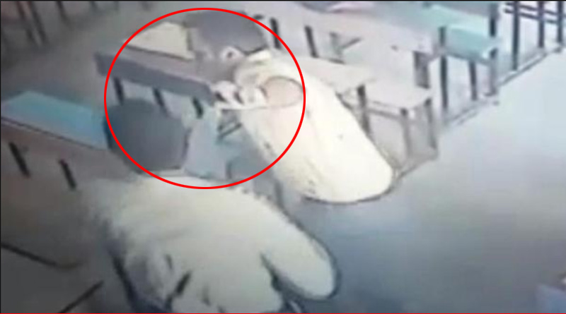 Watch: Haryana Student attacked his teacher after he scolded him for low marks