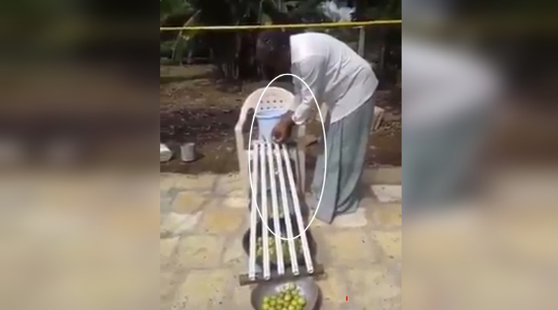 Man uses bamboo sticks for grading lemons, video goes viral