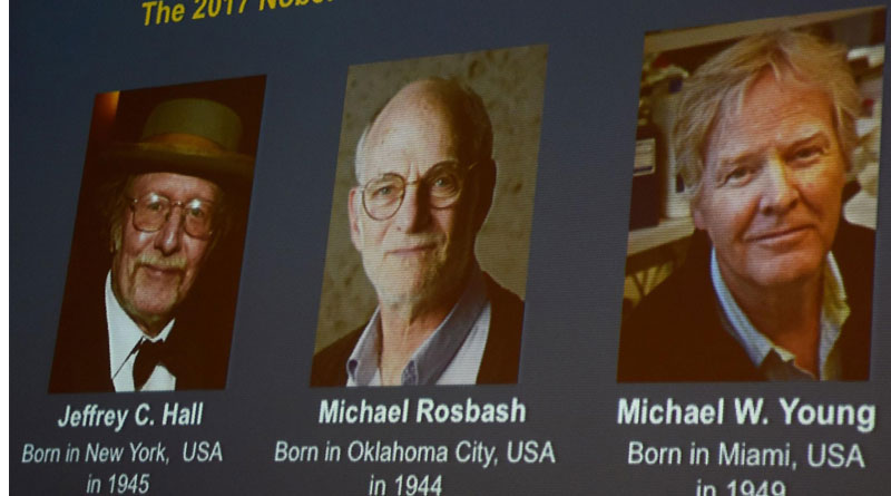 3 US researchers awarded Nobel Prize in medicine