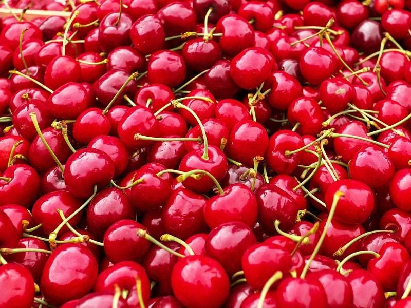 photo (2)