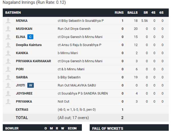 Cricket_web