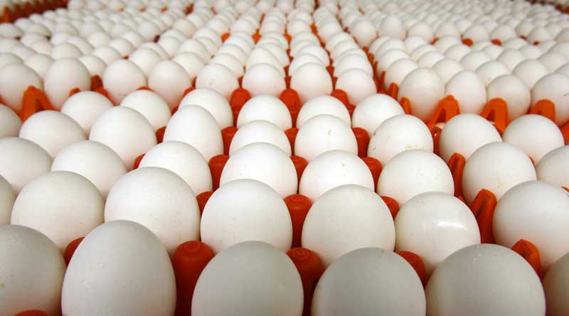 Egg Price is increasing in Bengal | Sangbad Pratidin