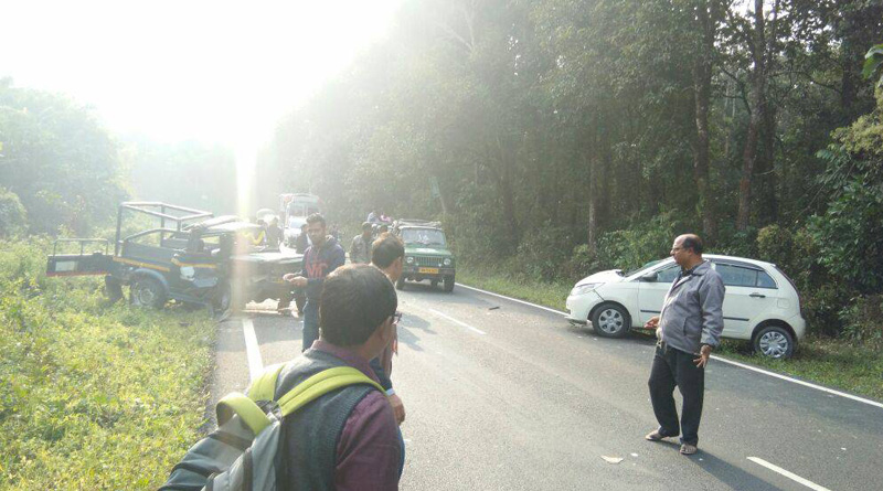 মুখোমুখি সংঘর্ষে দুর্ঘটনার কবলে সাফারি কার, গরুমারায় উত্তেজনা