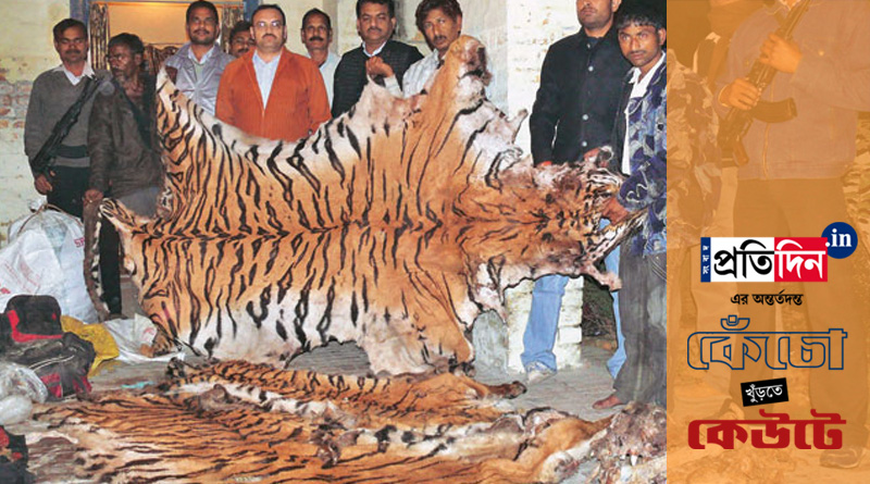 পাচারের ছক বদল, অনলাইনে বিক্রি হাতির দাঁত-সাপের বিষ