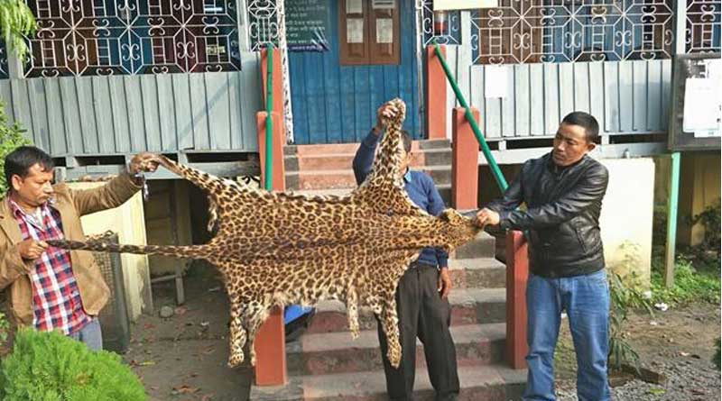 উত্তরবঙ্গ থেকে বন্যপ্রাণীর দেহাংশ ‘পাচার’ চিনে! শিলিগুড়িতে ধৃত ৩ পাচারকারী