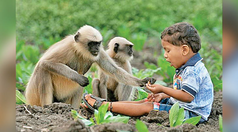 আরও এক মোগলি, এবার দেখা মিলল দক্ষিণ ভারতে