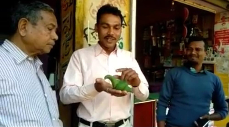 এটা পেঁপে না ‘পাখি’? আজব কাণ্ড বাংলারই এক বাগানে
