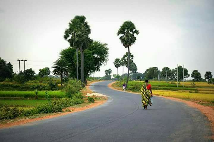 দেনুড়.jpg2