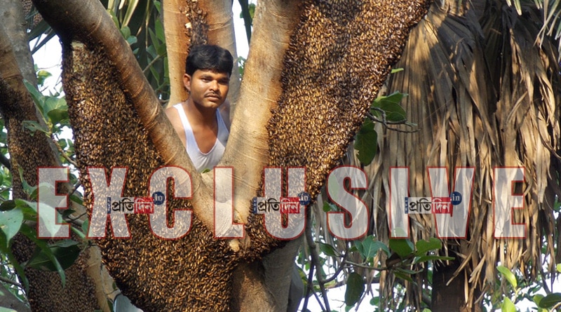 BANKURA-HONEY-MAN.jpg-2