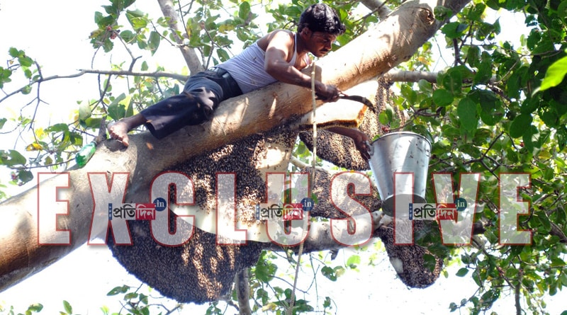 BANKURA-HONEY-MAN.jpg-3