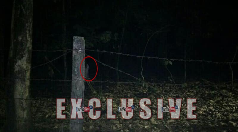 উত্তরবঙ্গ বিশ্ববিদ্যালয়ে ভূতের ‘বাসা’, আতঙ্কের ছবি ভাইরাল
