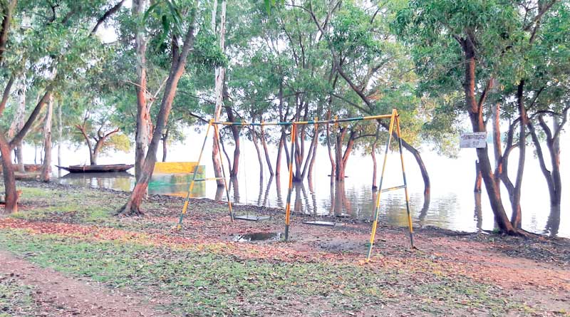 লাল-নীল-সবুজের মেলা, রূপসী বাংলায় এবার হাজার হাজার প্রজাপতি