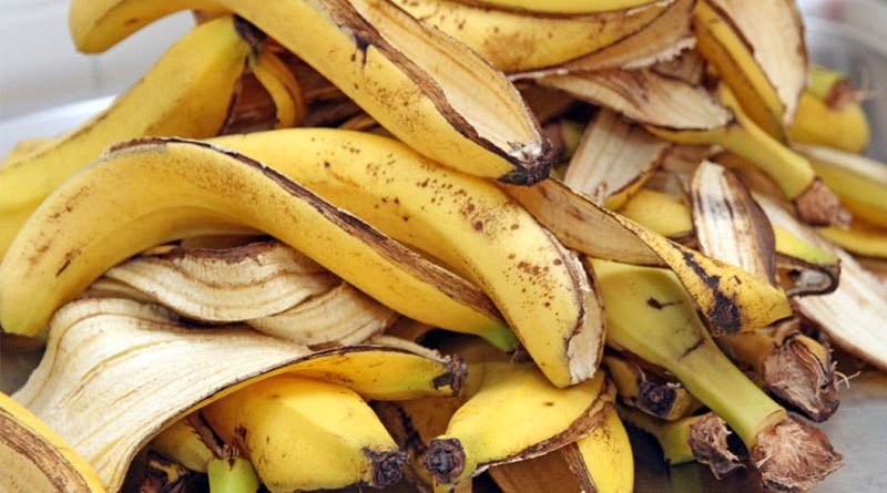Read and you won’t throw banana peel out again