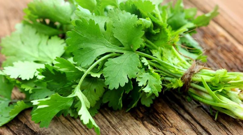 This is why coriander is a must in your diet
