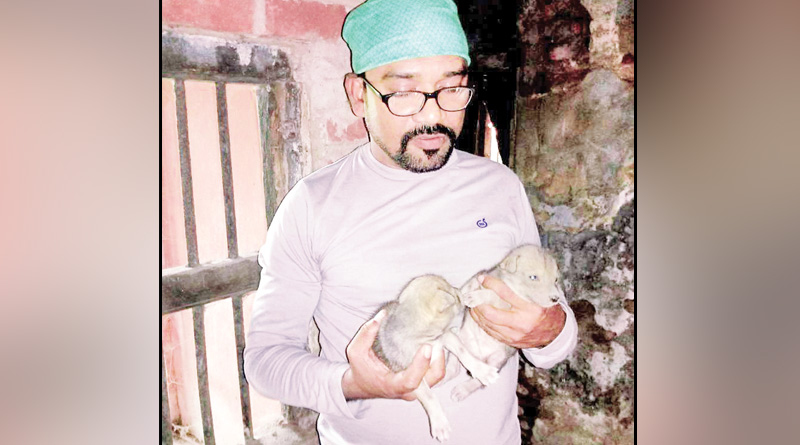 বাড়িতে মূর্তিমান ঝামেলা! ছয় শিয়াল ছানার ভয়ে কাঁটা ক্রাইম ব্রাঞ্চের দুঁদে অফিসার