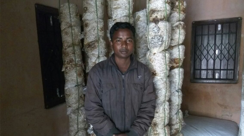 He is a legend in mushroom business at North Bengal
