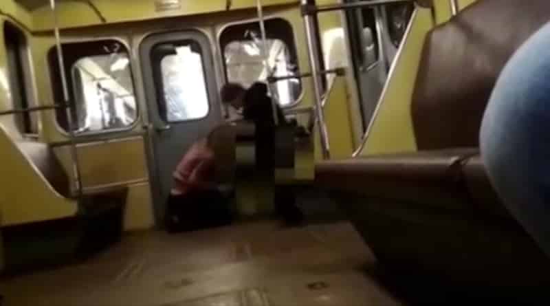 Couple casually have sex in front of passengers on moving train