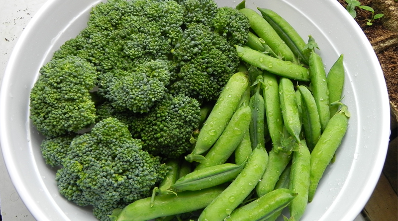 brocoli and peas helps to reduce fat