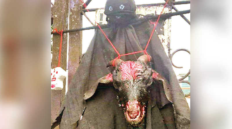 বিপদ কাটাতে তুকতাক, এবার ‘কালাজাদু’র আশ্রয়ে বিমল গুরুং!