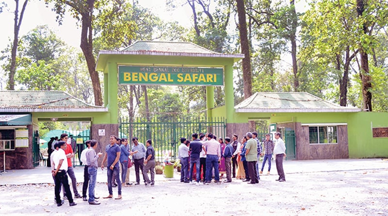 Leopard Safari is stopped at Bengal Safari