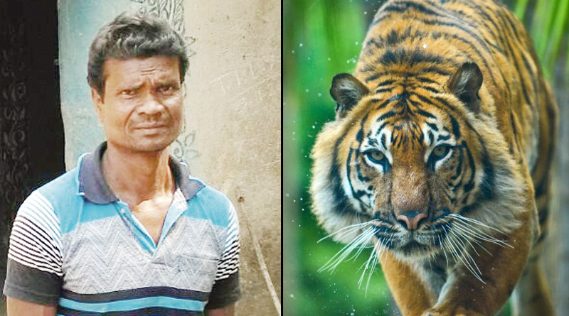রাতে দরজা খুলতেই উঠোনে দাঁড়িয়ে বাঘ…