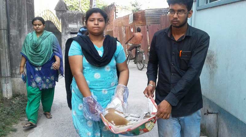 রাস্তার কুকুরের মৃত্যুতে শোরগোল, খুনের অভিযোগে পুলিশের দ্বারস্থ পশুপ্রেমীরা