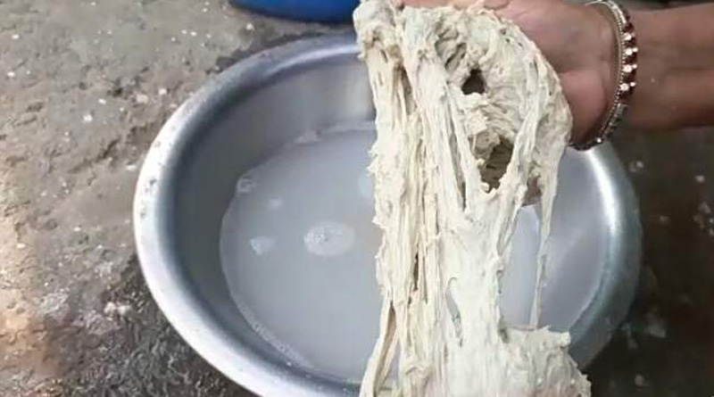 রাজ্যে এবার থাবা বসাল ‘রবার আটা’, আতঙ্কে কালিম্পংয়ের বাসিন্দারা
