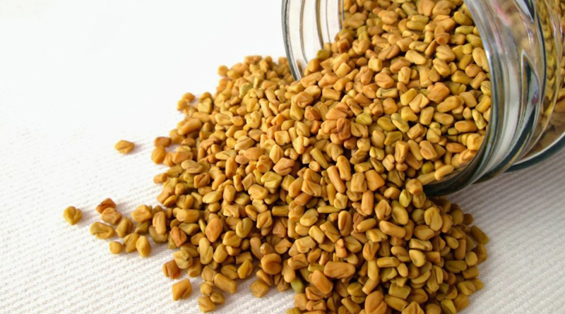 Fenugreek seeds a key to home remedies