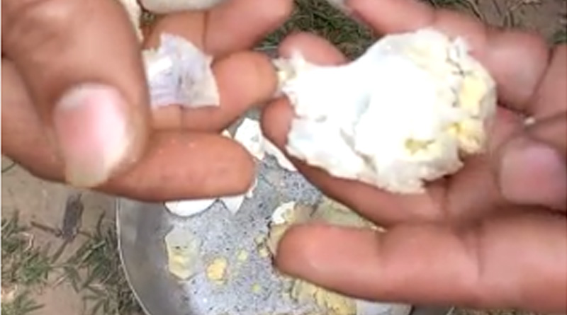 মিড ডে মিলে প্লাস্টিকের ডিম! চাঞ্চল্য পাঁশকুড়ায়