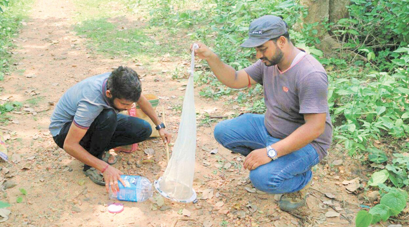 ট্যারান্টুলা আতঙ্কে বিষ সংগ্রহ শুরু অযোধ্যা, গড়পঞ্চকোটে