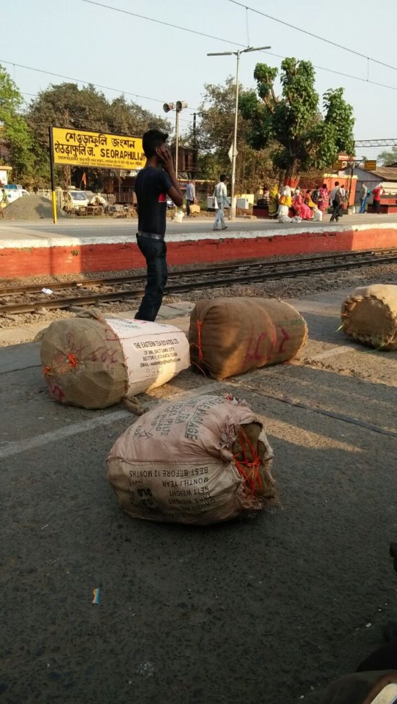শ্যাওড়াফুলি